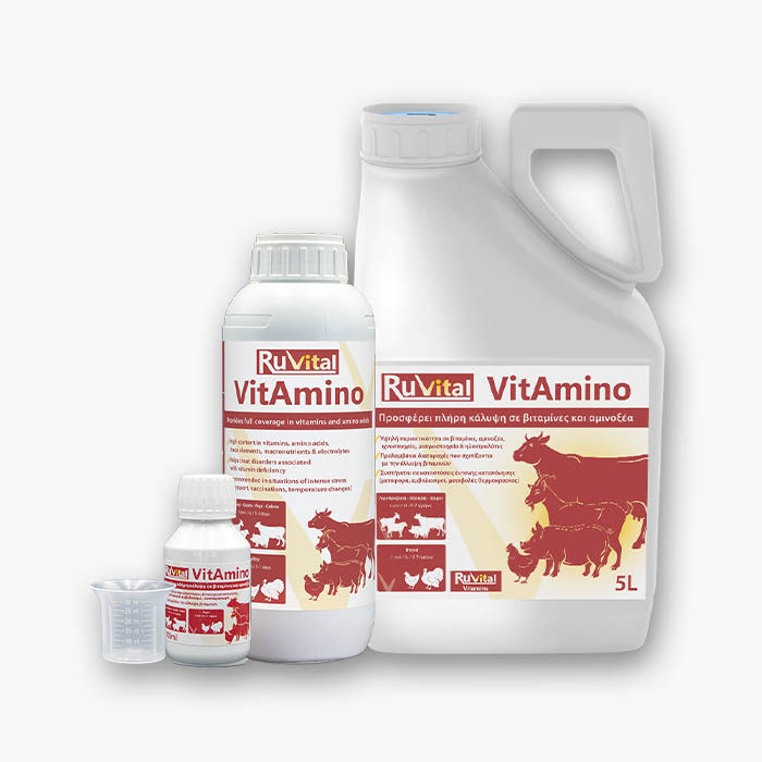 Συμπλήρωμα βιταμινών Ruvital VitAmino για παραγωγικά ζώα σε τρεις συσκευασίες
