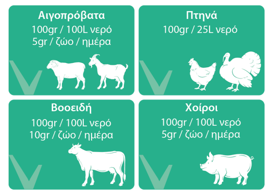 Οδηγίες δοσολογίας Ruvital E-Selen C 100gr