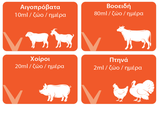 Δοσολογία Ruvital HepaCare