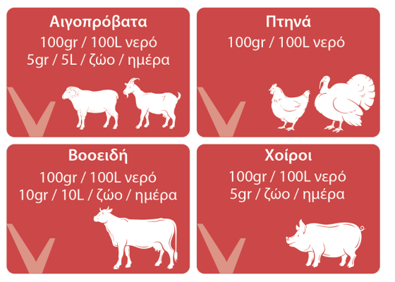 Οδηγίες Δοσολογίας Ruvital MultiVitamin