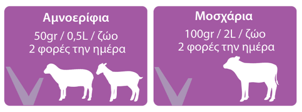 Δοσολογία Ruvital PectoLyte για αμνοερίφια και μοσχάρια