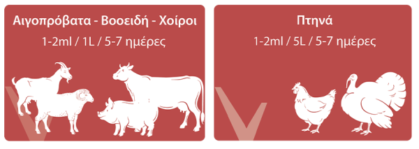 Οδηγίες χρήσης Ruvital VitAmino